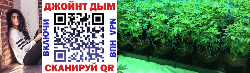 Хочу наркоту Мытищи Амфетамин  Меф мяу мяу  COCAIN  Гашиш  Канабис  Alpha-PVP 