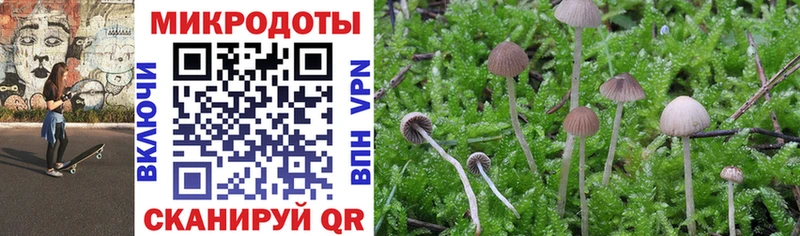 где продают наркотики  Мытищи  Галлюциногенные грибы мицелий 